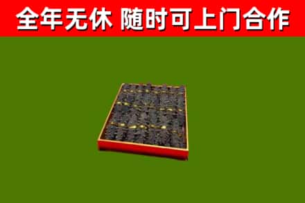 科尔沁左后回收海参